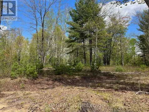 Lot 15 Sandy Shores Trail Madawaska Valley ON K0J 1B0