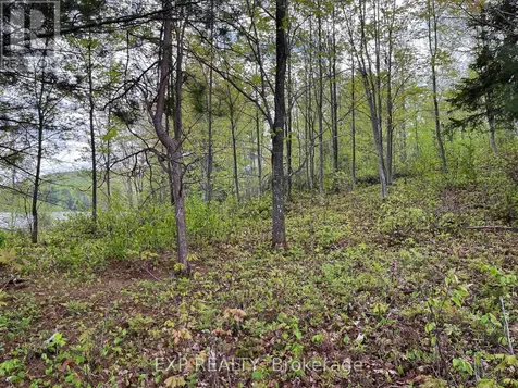 Lot 9 Casson Trail Madawaska Valley ON K0J 1B0