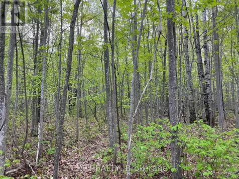 Lot 9 Casson Trail Madawaska Valley ON K0J 1B0