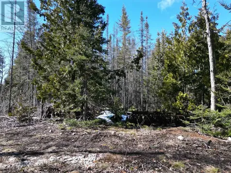 31 Baise Avenue Northern Bruce Peninsula ON N0H 2R0