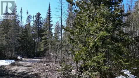 31 Baise Avenue Northern Bruce Peninsula ON N0H 2R0