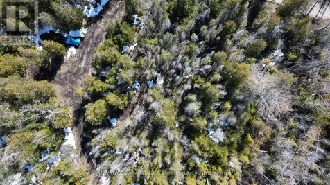 31 Baise Avenue Northern Bruce Peninsula ON N0H 2R0