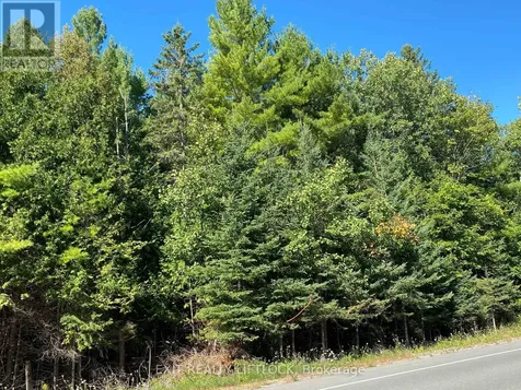 590 County Road 40 Douro-dummer ON K0L 2V0