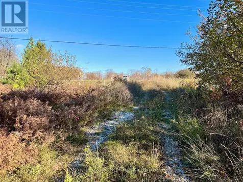 4887 Hwy 6 Highway Northern Bruce Peninsula ON N0H 1Z0