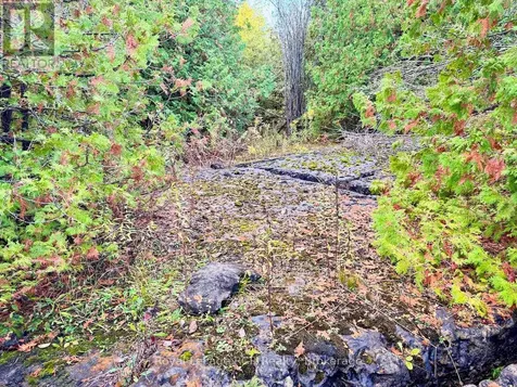 4887 Hwy 6 Highway Northern Bruce Peninsula ON N0H 1Z0