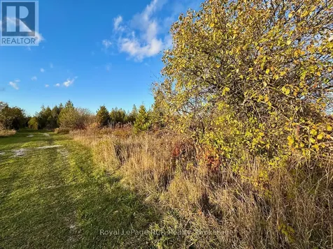 4887 Hwy 6 Highway Northern Bruce Peninsula ON N0H 1Z0