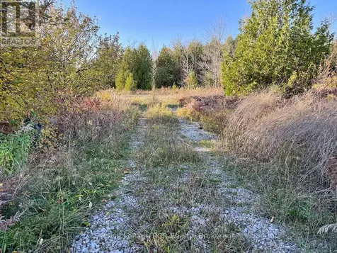 4887 Hwy 6 Highway Northern Bruce Peninsula ON N0H 1Z0