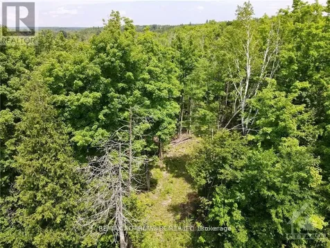 1375 Sheridan Rapids Road Lanark Highlands ON K0G 1K0