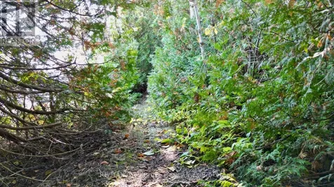 248 Isthmus Bay Road Northern Bruce Peninsula ON N0H 1W0