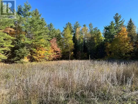 0 Minnie Road Bonnechere Valley ON K0J 1T0