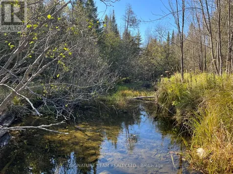 0 Minnie Road Bonnechere Valley ON K0J 1T0