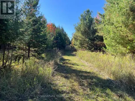 0 Minnie Road Bonnechere Valley ON K0J 1T0
