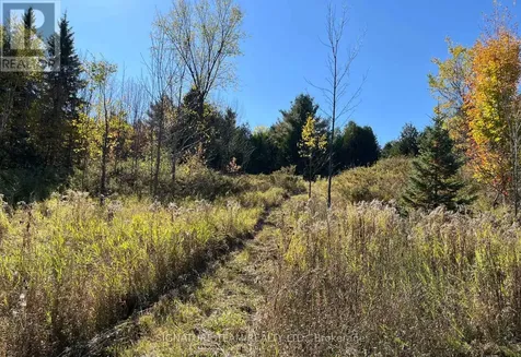 0 Minnie Road Bonnechere Valley ON K0J 1T0