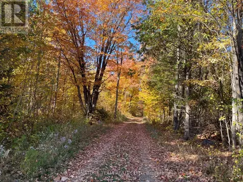 0 Minnie Road Bonnechere Valley ON K0J 1T0