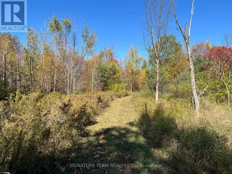 0 Minnie Road Bonnechere Valley ON K0J 1T0