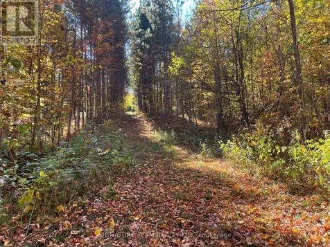 0 Minnie Road Bonnechere Valley ON K0J 1T0