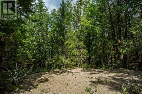 Lot 28 Richmond Bay Rd|hilton Township St. Joseph Island ON P0R 1G0