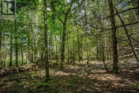 Lot 28 Richmond Bay Rd|hilton Township St. Joseph Island ON P0R 1G0
