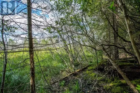 Lot 28 Richmond Bay Rd|hilton Township St. Joseph Island ON P0R 1G0