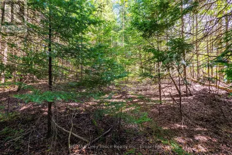 Unit 6 Stokes Bay Road Northern Bruce Peninsula ON N0H 1W0