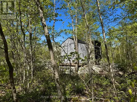 2248 Bruce Rd 9 Road Northern Bruce Peninsula ON N0H 1W0
