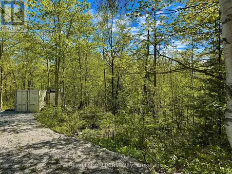 2248 Bruce Rd 9 Road Northern Bruce Peninsula ON N0H 1W0