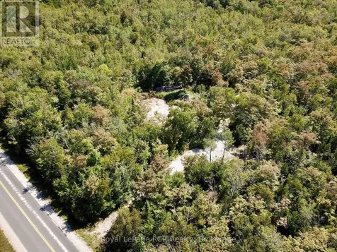 2248 Bruce Rd 9 Road Northern Bruce Peninsula ON N0H 1W0
