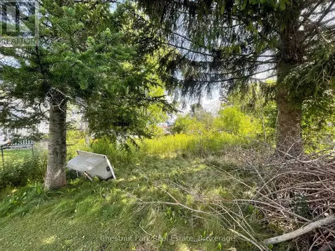 383 Thompson Street Meaford ON N4L 1H7