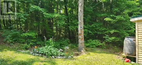 356 Bow Lake Lane Lanark Highlands ON K0G 1K0