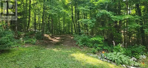 356 Bow Lake Lane Lanark Highlands ON K0G 1K0