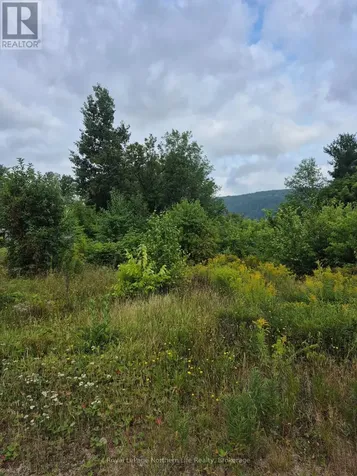 560 New Street Mattawa ON P0H 1V0