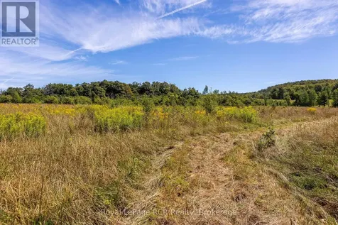 634931 Pretty River Road Grey Highlands ON N0C 1M0