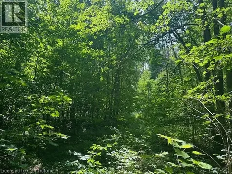 44 24th Side Road Chatsworth ON N0H 1R0