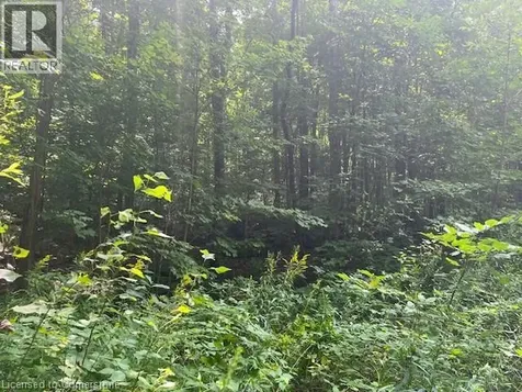 44 24th Side Road Chatsworth ON N0H 1R0