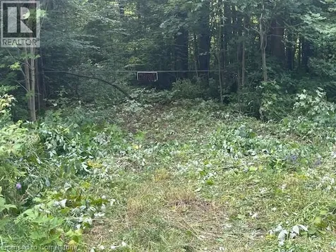 44 24th Side Road Chatsworth ON N0H 1R0