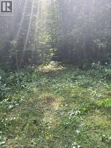 44 24th Side Road Chatsworth ON N0H 1R0