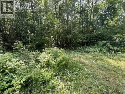 44 24th Side Road Chatsworth ON N0H 1R0