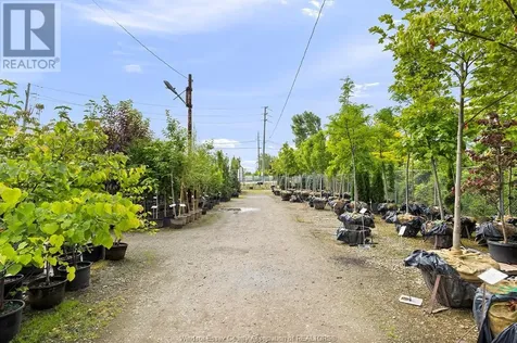 2191 Provincial Road Windsor ON N8W 5V7