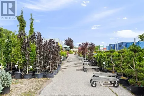 2191 Provincial Road Windsor ON N8W 5V7
