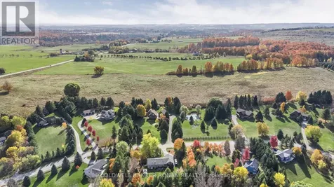 20 Mountainview Road Mulmur ON L9V 3H5