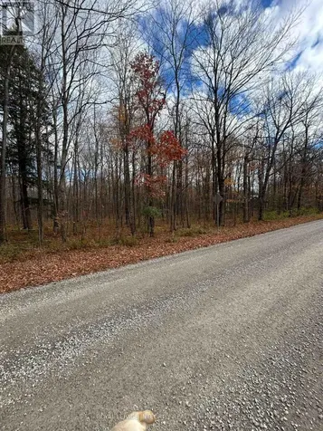Pt Lt 17 Kyle Road Augusta ON K0G 1R0