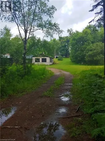 429 Lynx Lake Road Huntsville ON P1H 2J3