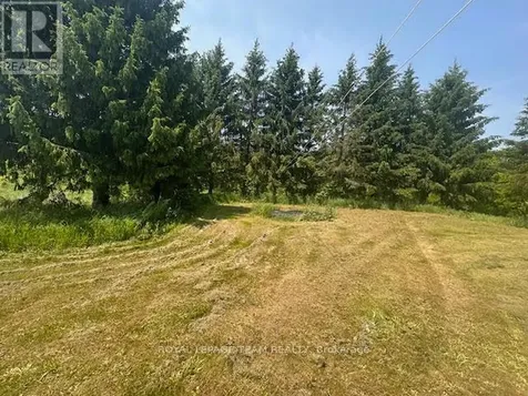 5296 Panmure Road Mississippi Mills ON K0A 2X0