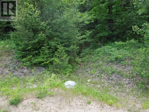 8 Tioga Boulevard Adjala-tosorontio ON L0M 1J0