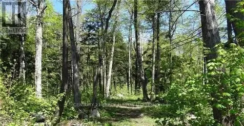 122 Nippissing Ridge Road Tiny ON L9M 0H6