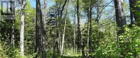 126 Nippissing Ridge Road Tiny ON L9M 0H6
