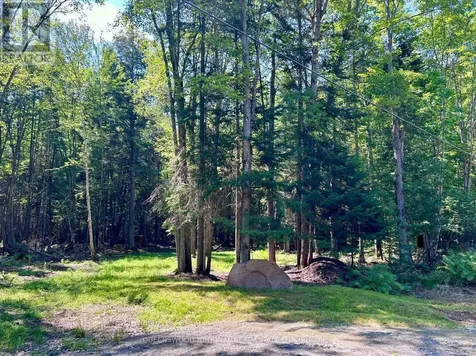 63 Annie Mayhew Road Madawaska Valley ON K0J 1L0