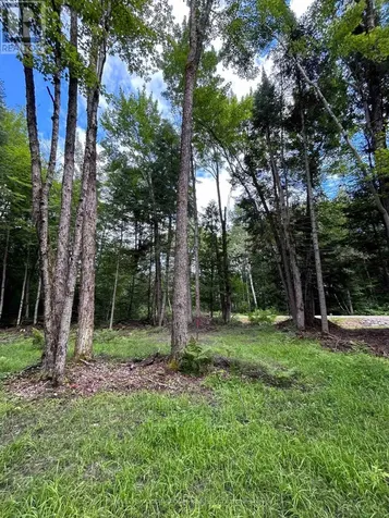 63 Annie Mayhew Road Madawaska Valley ON K0J 1L0