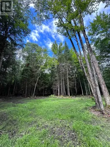 63 Annie Mayhew Road Madawaska Valley ON K0J 1L0