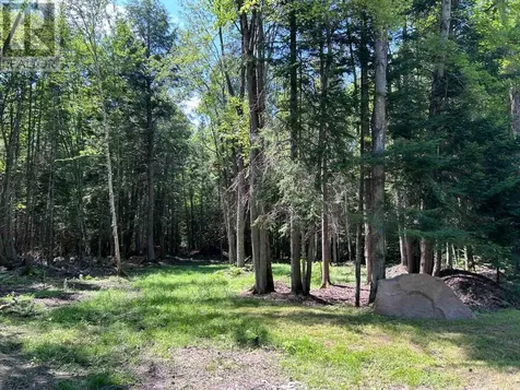 63 Annie Mayhew Road Madawaska Valley ON K0J 1L0